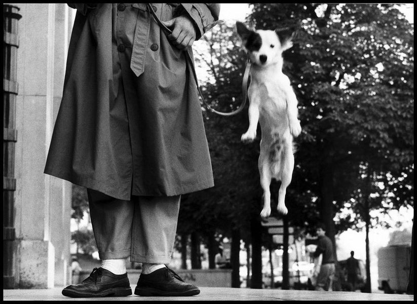 Elliott Erwitt - From Cuban Revolutionaries to Canine friends