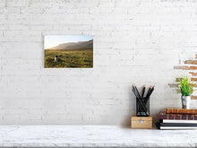 The Shepherd at Rest by Michelle Pretorius