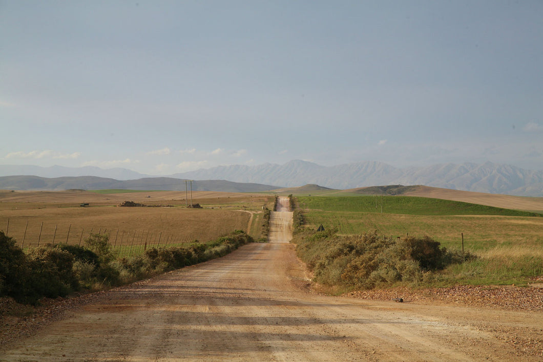 The Road by Michelle Pretorius