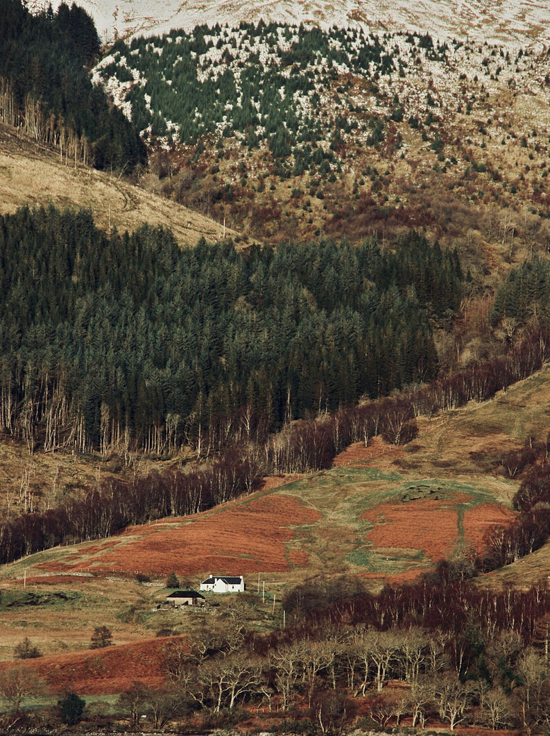 Lone Croft House by Barbara Parkins