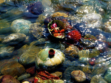 Ganga Puja by Toni Peach