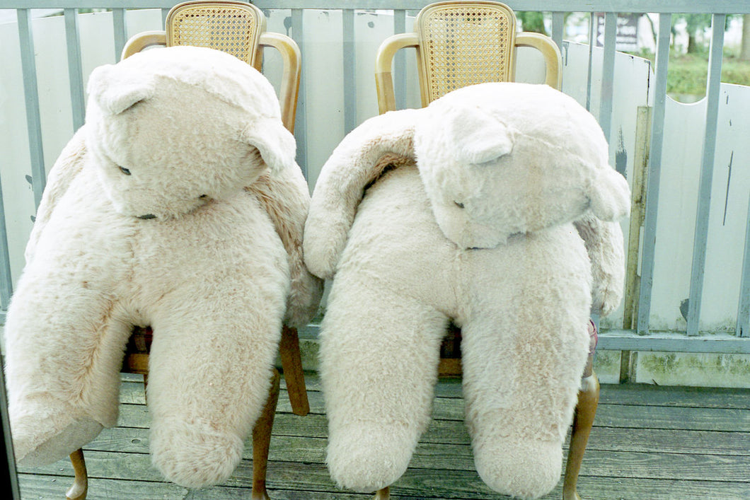 May 16: Big Teddy Bears by Yoko Naito.