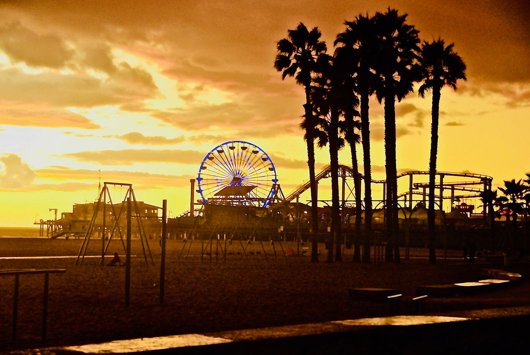 Santa Monica Beach by Barbara Parkins.