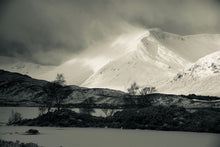 Black Tree, White Mountain by Barbara Parkins