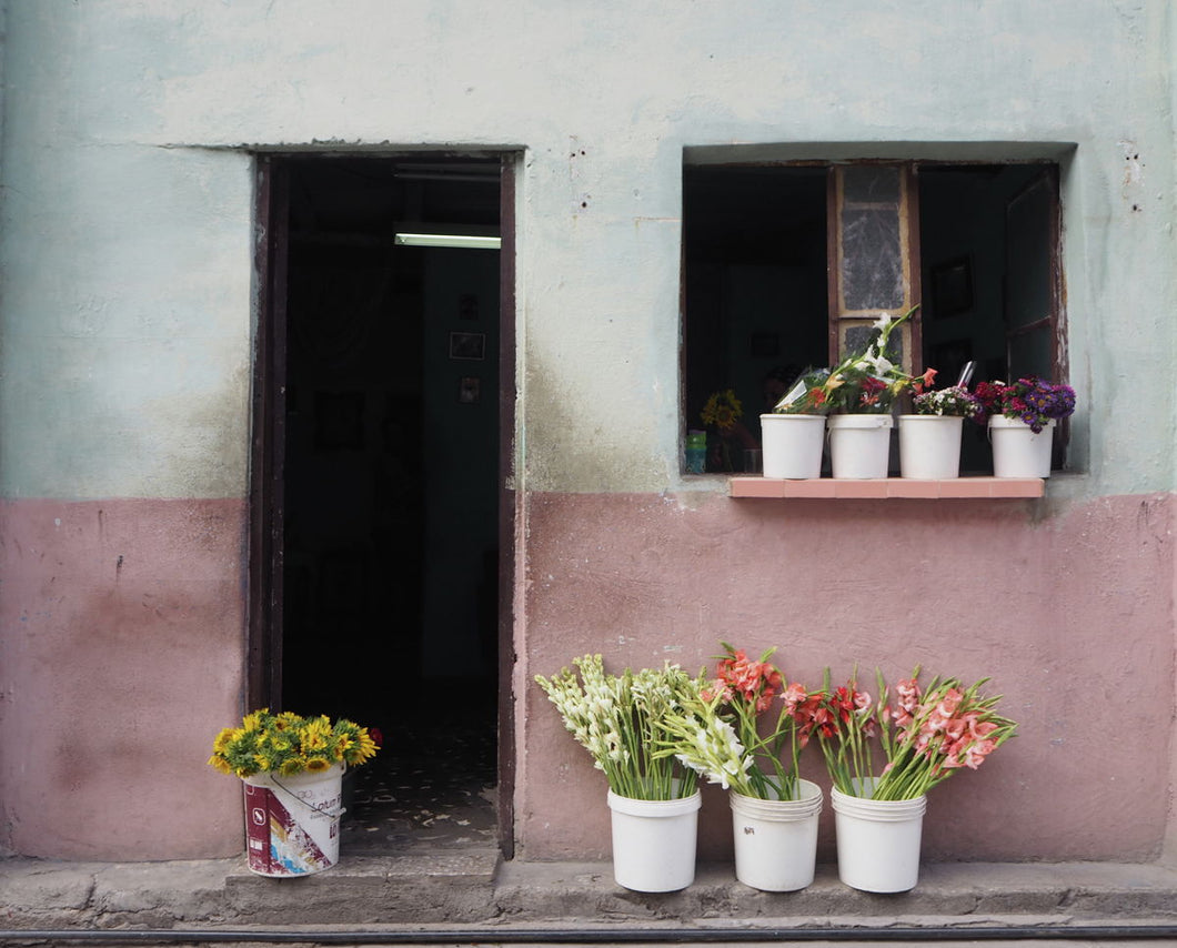 Cuba Flower Shop, Photo Print at 100Prints.co.uk
