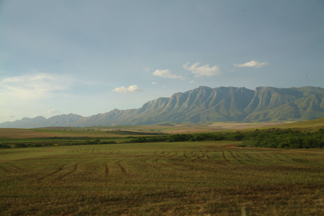 Mountains by Michelle Pretorius