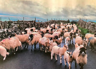 Pretty In Pink, England by Barbara Parkins