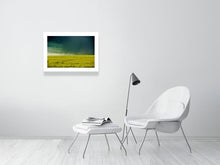 Storm Clouds Over Rape Fields by Barbara Parkins