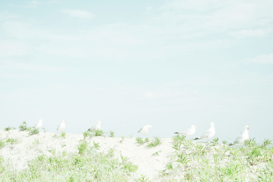 May 07: Seagulls by Yoko Naito.