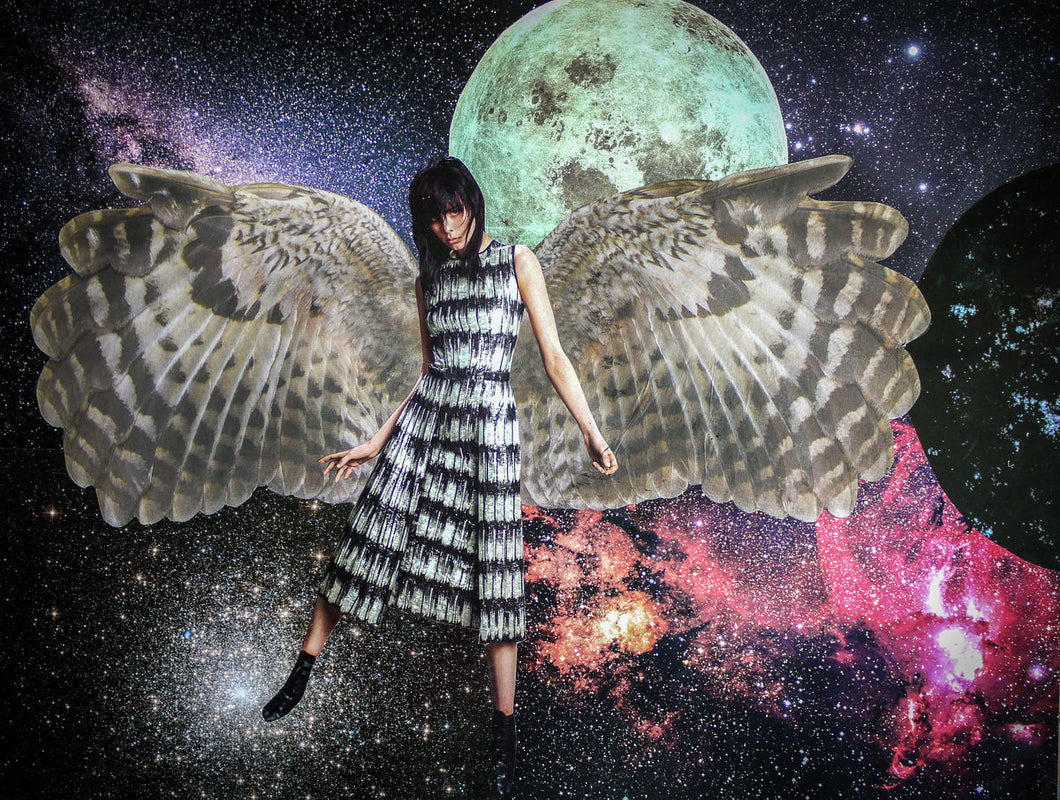 Big Wings by Toni Peach