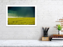 Storm Clouds Over Rape Fields by Barbara Parkins
